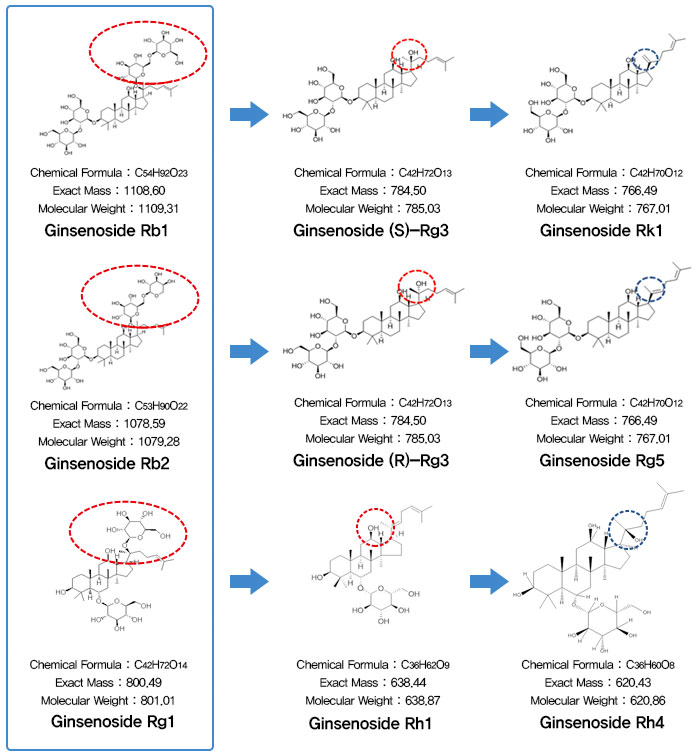 진세노사이드 변화 과정